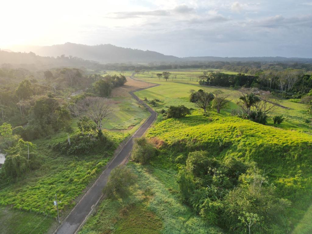 Columbus Heights — aerial view of the road through green fields, misty mountains in the distance