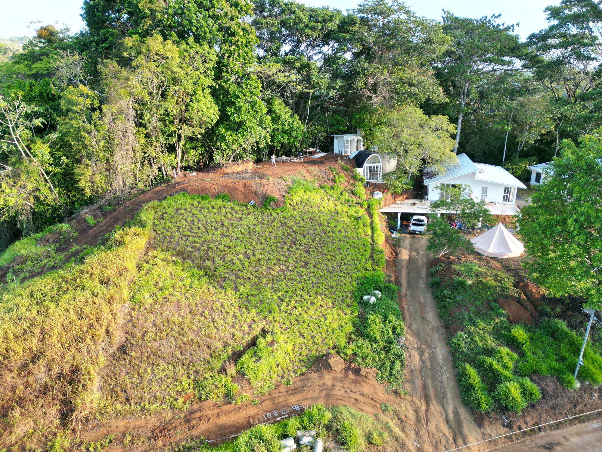 Aerial view of our lot at Columbus Heights — fruit-forest plot, owner-built house, surrounding jungle